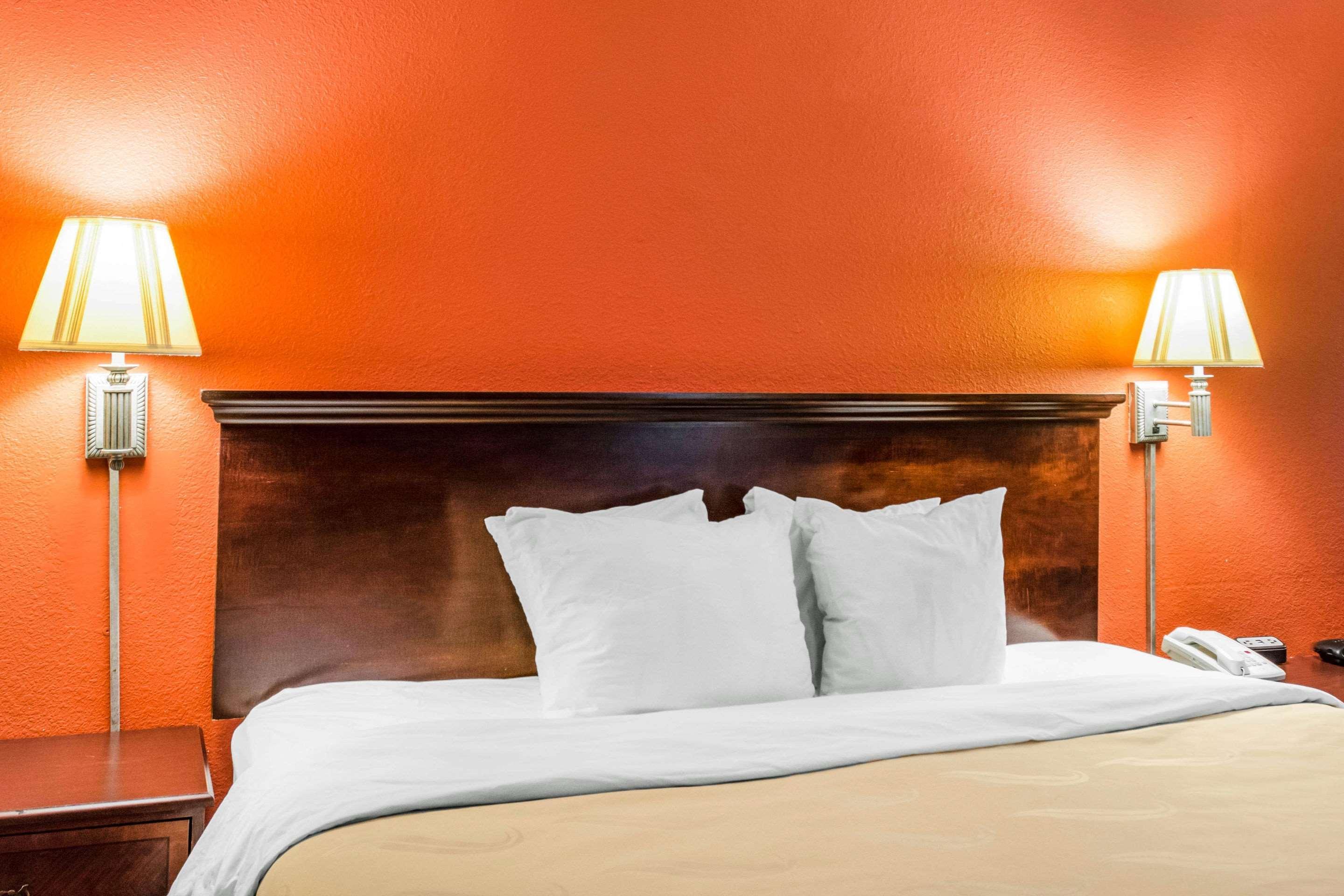 Quality Inn Albany Bagian luar foto